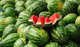 网红的吃瓜群怎么进的,如何轻松加入神秘社交圈